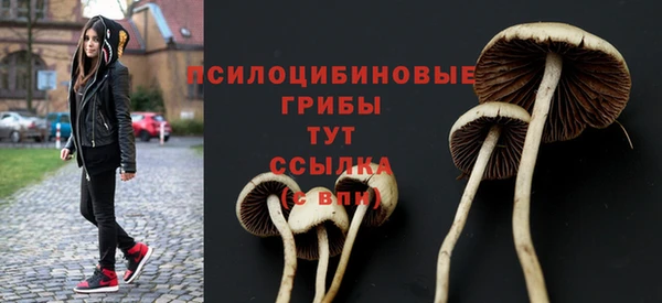 шишки Алексеевка