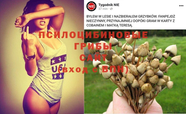 шишки Алексеевка