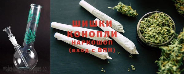 шишки Алексеевка