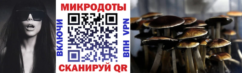 Псилоцибиновые грибы MAGIC MUSHROOMS  это формула  Обнинск 